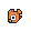 Four-eyed Fish