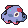 Purple Umbrella Octopus