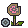 Cardboard Flower