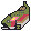 Rainbow Trout