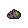 Hops Seed