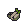 Coffee Seed