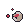 Crimson Ascomyceter Seed