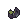 Scallion Seed