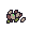 Turnip Seed